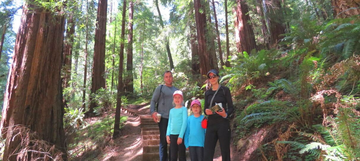 geführte Tour zum Muir Woods Nationalpark mit großen Mammutbaummammutbäumen